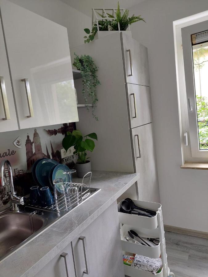 Gemuetliches, Voll Ausgestattetes Apartment Halle  المظهر الخارجي الصورة